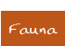 Fauna 