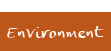 Environment 