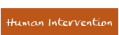 Human Intervention 