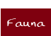 Fauna 