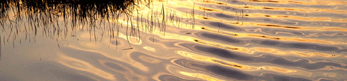 Sunlight reflected on water
