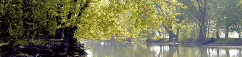 View of a channel in the Lake Saint-Pierre archipelago