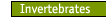 Invertebrates 