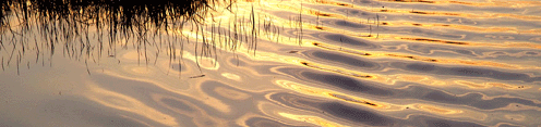 Sunlight reflected on water
