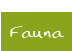 Fauna 