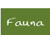 Fauna 
