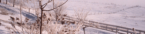 Snow-covered pasture along the Yamaska River