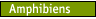 Amphibiens